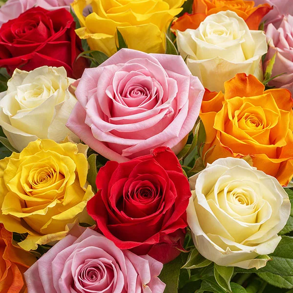 Букет из разноцветных роз